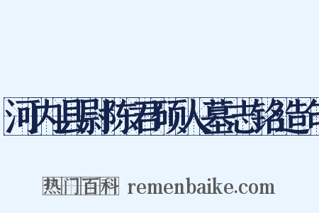 河内县尉陈君硕人墓志铭造句是什么意思的图片